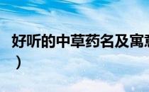 好听的中草药名及寓意（草药名字及美好寓意）