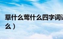草什么莺什么四字词语补充完整（草什么莺什么）