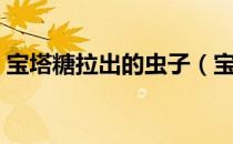 宝塔糖拉出的虫子（宝塔糖多久会拉出虫子）