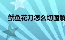 鱿鱼花刀怎么切图解（鱿鱼花刀怎么切）