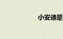 小安迪是哪个厂牌