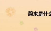 蔚来是什么牌子的车