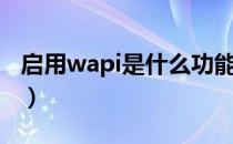 启用wapi是什么功能（启用wapi是什么东西）
