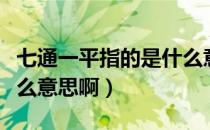 七通一平指的是什么意思（七通一平指的是什么意思啊）