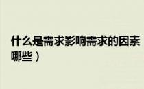 什么是需求影响需求的因素（什么是需求影响需求的因素有哪些）