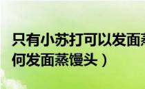 只有小苏打可以发面蒸馒头吗（只用小苏打如何发面蒸馒头）