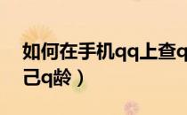 如何在手机qq上查q龄（手机qq上怎么查自己q龄）