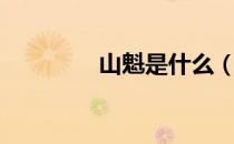 山魁是什么（山魁是什么）