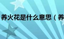 养火花是什么意思（养火花是什么意思qq上）