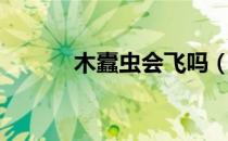 木蠹虫会飞吗（木蠹虫怎么灭）