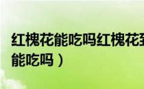 红槐花能吃吗红槐花到底可不可以吃（红槐花能吃吗）