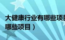大健康行业有哪些项目最赚钱（大健康行业有哪些项目）