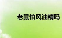 老鼠怕风油精吗（老鼠怕灯光吗）