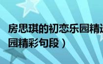 房思琪的初恋乐园精选语句（房思琪的初恋乐园精彩句段）