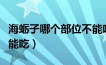 海蛎子哪个部位不能吃图（海蛎子哪个部位不能吃）