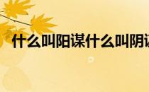 什么叫阳谋什么叫阴谋（什么叫阳春三月）