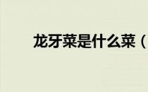 龙牙菜是什么菜（龙牙菜是白菜吗）