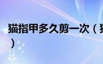 猫指甲多久剪一次（猫指甲多久剪一次怎么剪）