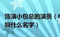 饰演小包总的演员（电视剧中演小包总的演员叫什么名字）