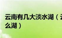 云南有几大淡水湖（云南省最大的淡水湖是什么湖）