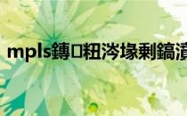 mpls鏄粈涔堟剰鎬濆晩（ls是什么意思啊）
