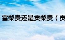雪梨贵还是贡梨贵（贡梨和雪梨有什么区别）