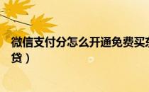 微信支付分怎么开通免费买东西（微信支付分怎么开通微粒贷）