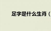足字是什么生肖（足字是什么结构）