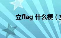 立flag 什么梗（立flag 什么意思）