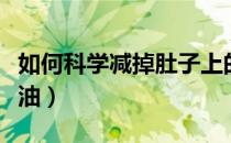 如何科学减掉肚子上的赘肉（如何科学减脂排油）
