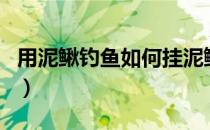 用泥鳅钓鱼如何挂泥鳅（用泥鳅钓鱼如何挂钩）