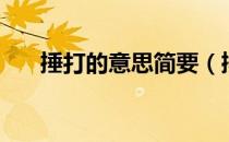 捶打的意思简要（捶打的意思是什么）