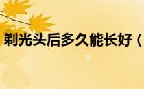 剃光头后多久能长好（剃光头后多久长出来）