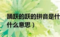踊跃的跃的拼音是什么（踊跃的拼音 踊跃是什么意思）