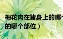 梅花肉在猪身上的哪个部位（梅花肉在猪身上的哪个部位）