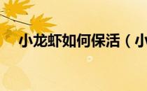 小龙虾如何保活（小龙虾如何保鲜不死）