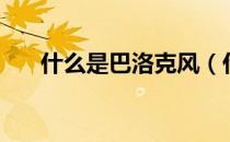 什么是巴洛克风（什么是巴洛克文学）