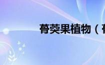蓇葖果植物（蓇葖果是什么）