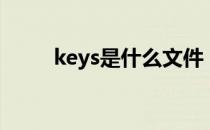 keys是什么文件（keys是什么车）