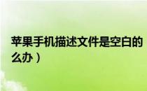 苹果手机描述文件是空白的（苹果手机描述文件是空白的怎么办）