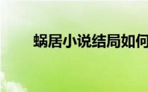 蜗居小说结局如何（蜗居小说结局）
