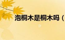 泡桐木是桐木吗（泡桐木是什么木）