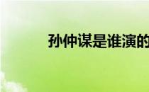 孙仲谋是谁演的（孙仲谋是谁）