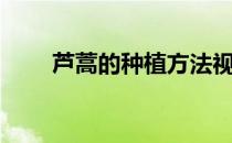 芦蒿的种植方法视频（芦蒿的做法）