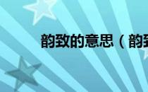 韵致的意思（韵致的意思是什么）