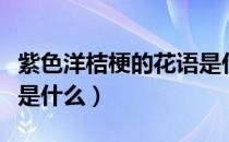 紫色洋桔梗的花语是什么（紫色洋桔梗的花语是什么）