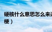 硬核什么意思怎么来造句（硬核什么意思什么梗）