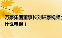 万豪集团董事长刘轩豪视频全集（万豪集团董事长刘轩豪是什么电视）