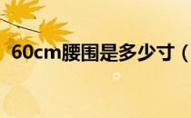 60cm腰围是多少寸（60cm腰围是多少尺）