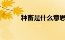 种畜是什么意思（畜生是什么）